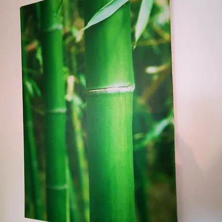 Le Petit Bois En Bord De - Acces Animations, Commerce Et Apartment *