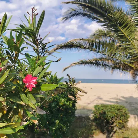 Le Petit Bois En Bord De - Climatise, Commerces Et * Argelès-sur-Mer